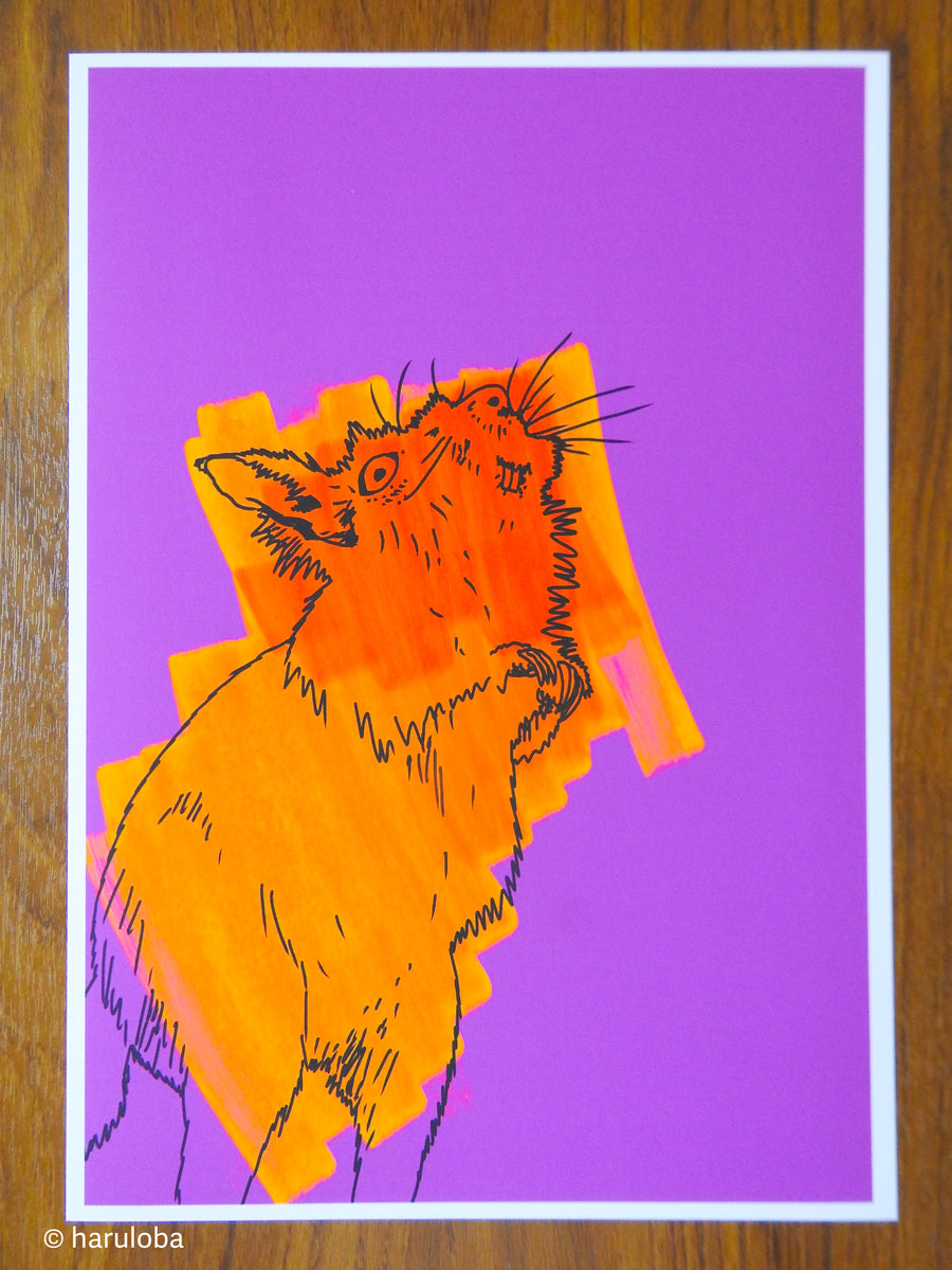 Museum Rodent
