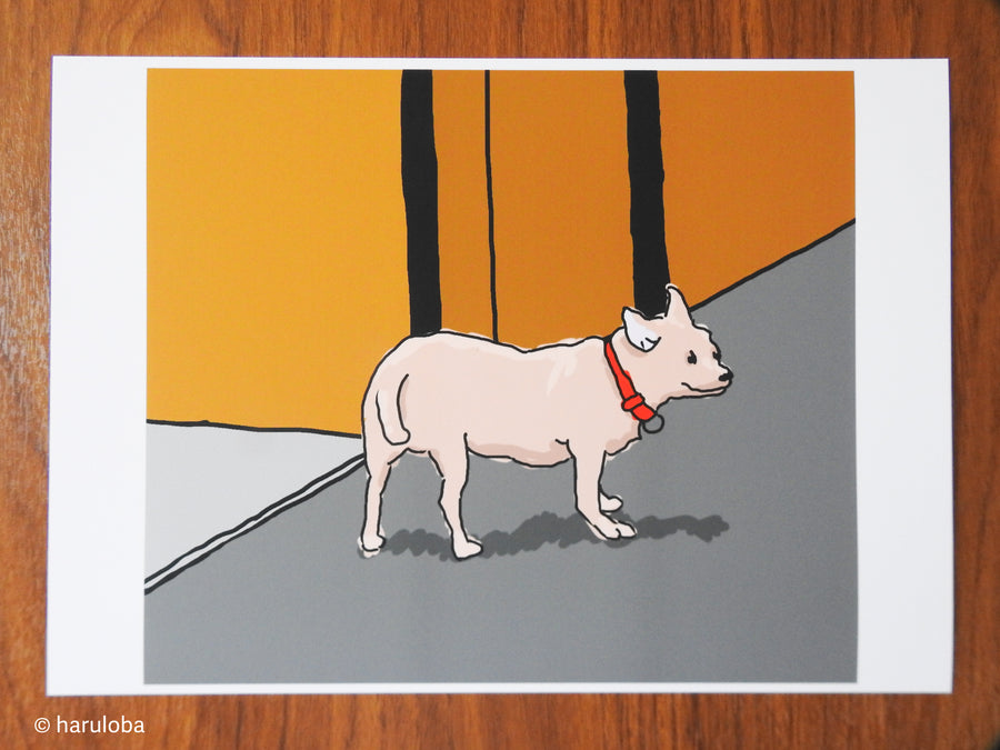 Spanish Dog
