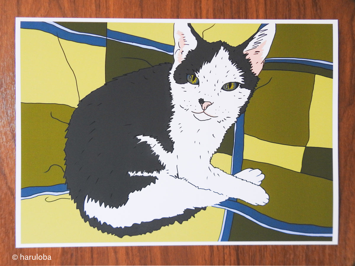 Stu Cat