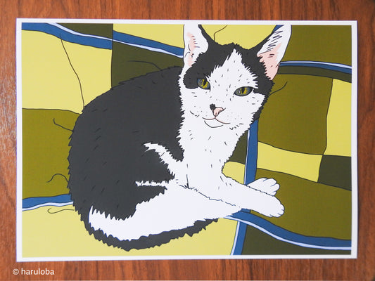 Stu Cat